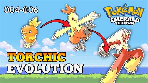 what does torchic evolve into.